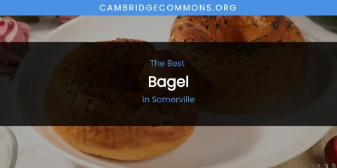 Somerville's Best Bagel