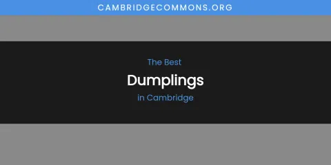 The Absolute Best Dumplings in Cambridge