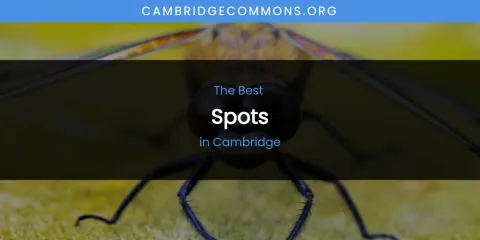 The Absolute Best Spots in Cambridge