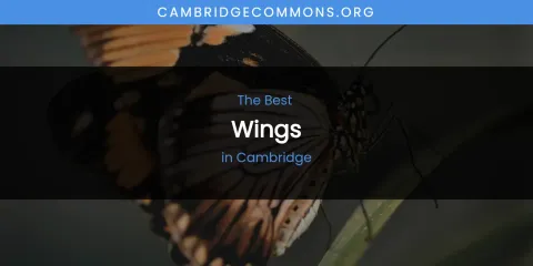 The Absolute Best Wings in Cambridge